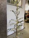 Weihnachtsbaum mit Beleuchtung