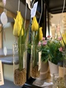 Tulpen in Hängevase (gelb)