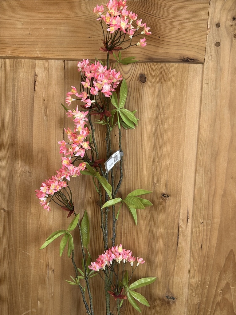 Blütenzweig rosa