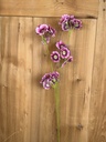 Blumenzweig pink