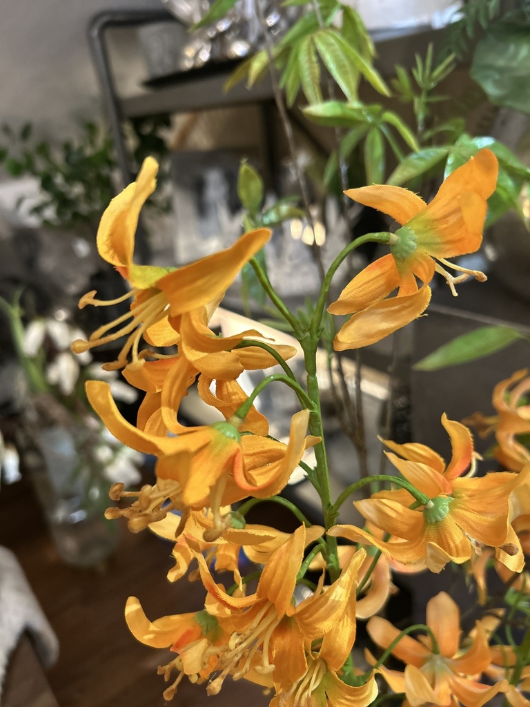 Blütenzweig orange