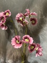 Blumenzweig pink