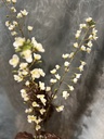 Blütenzweig "Primula" weiß