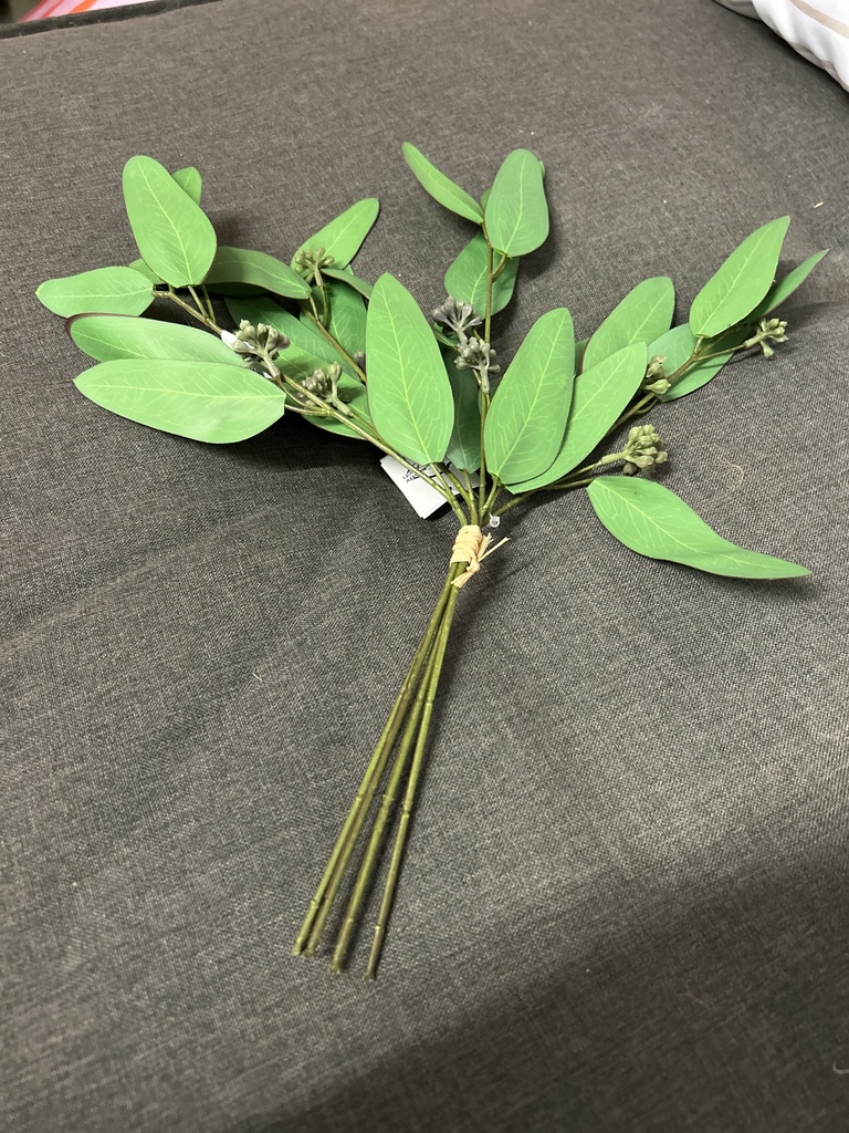 Eukalyptusbund mit Früchten