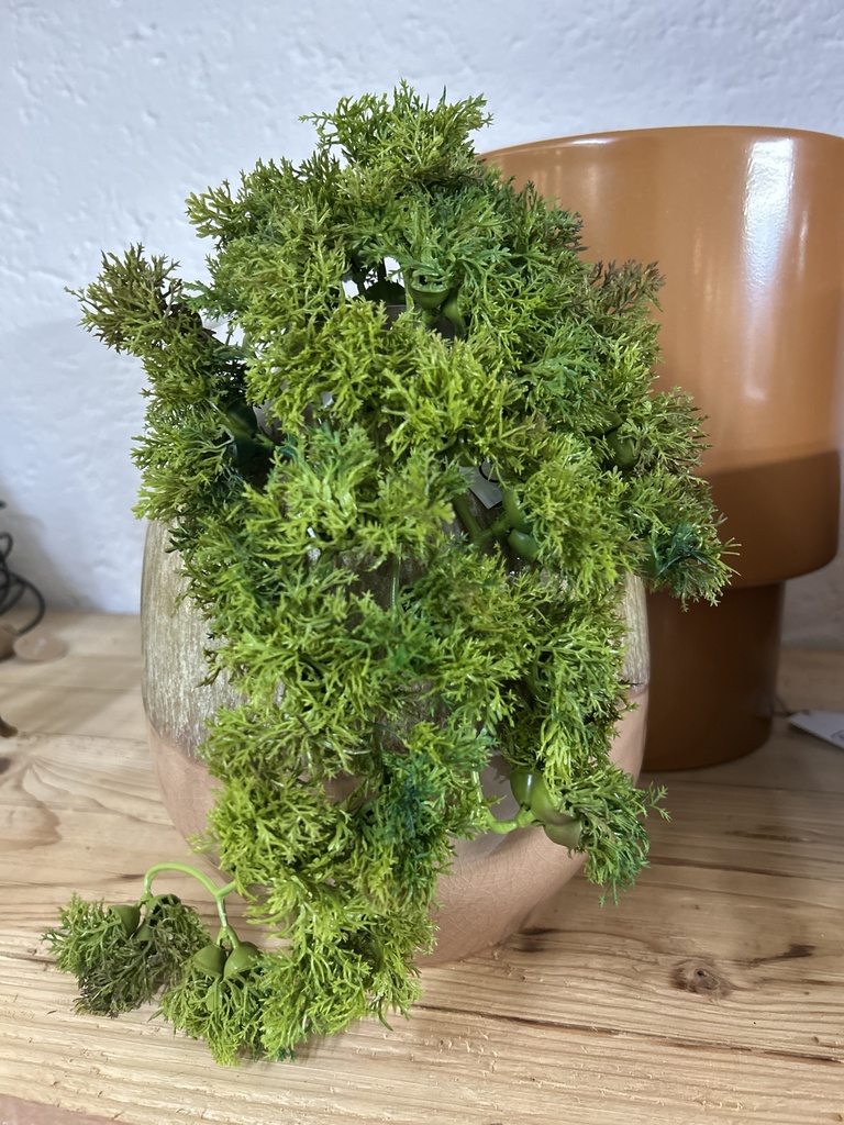 Islandmoos Hänger