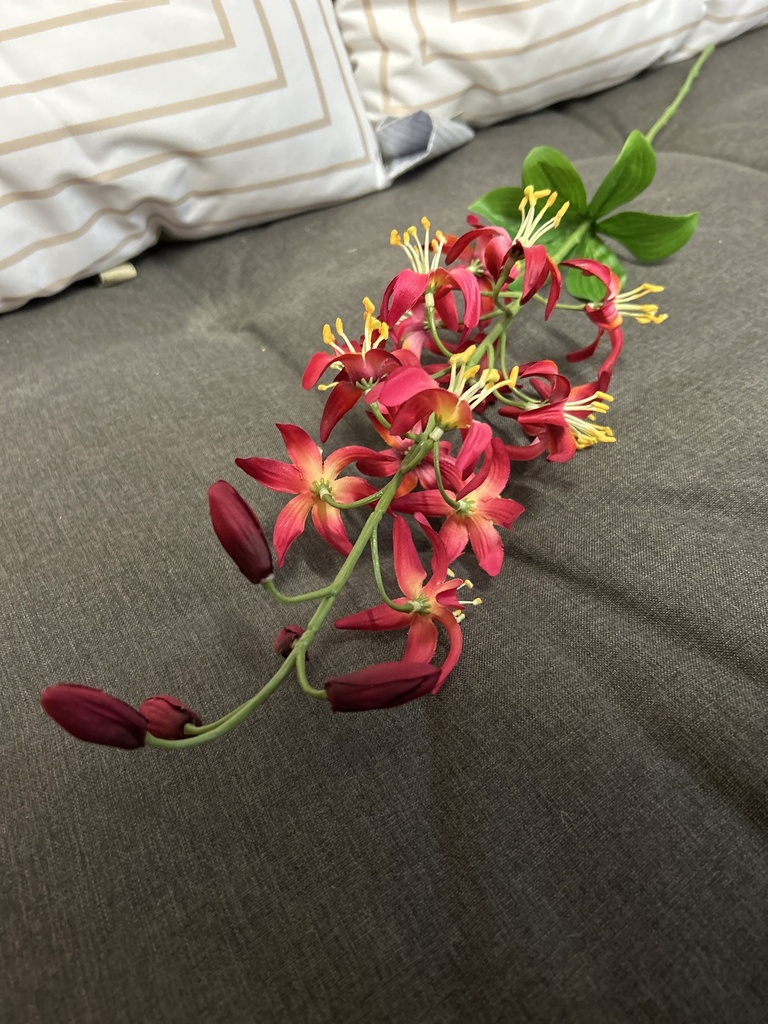 Wildlilienzweig