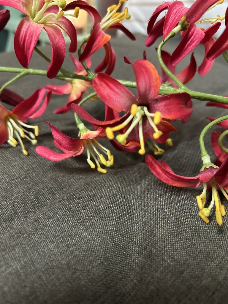 Wildlilienzweig