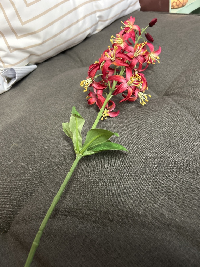 Wildlilienzweig