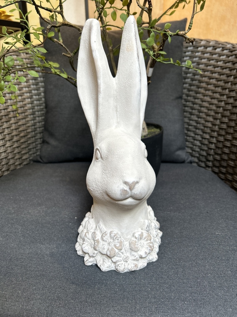 Hasenkopf mit Blütenkrause