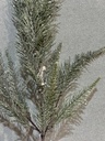 Farnzweig grün 51 cm
