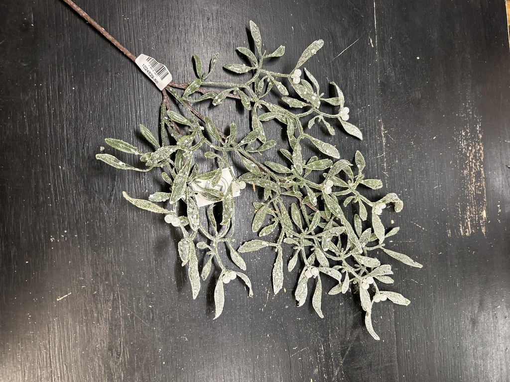 Mistelzweig grün geeist
