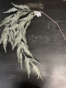 Farnzweig grün 102 cm