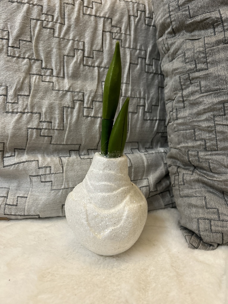 Amaryllis-Zwiebel weiß
