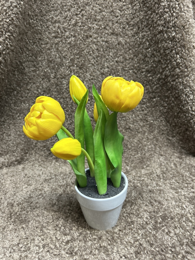 Tulpen im Keramiktopf