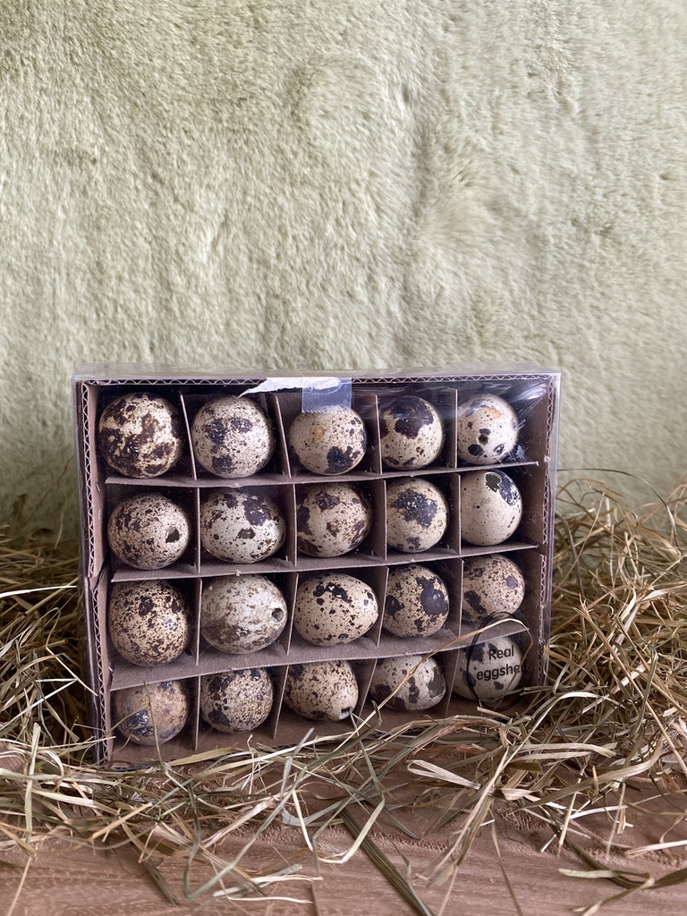 Ostereier 60er (Wachteleier) ausgeblasen