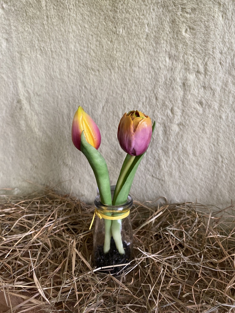 Tulpen in Glasvase