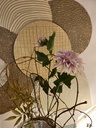 Dahlie rosa 66cm