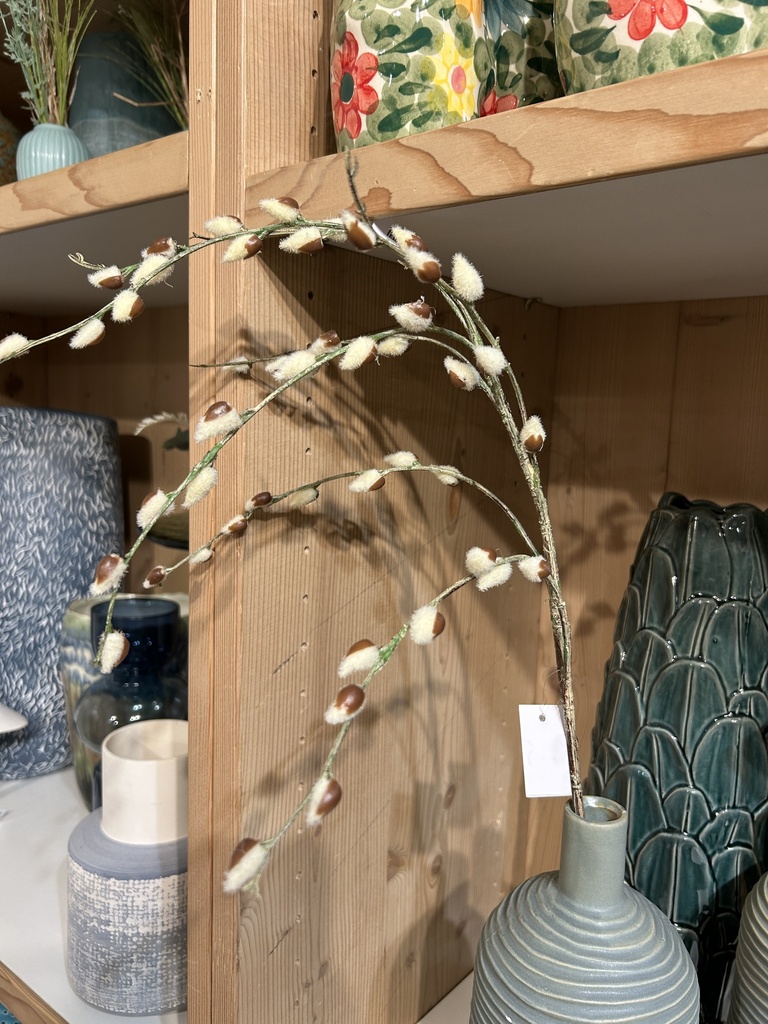 Weidekätzchen weiß