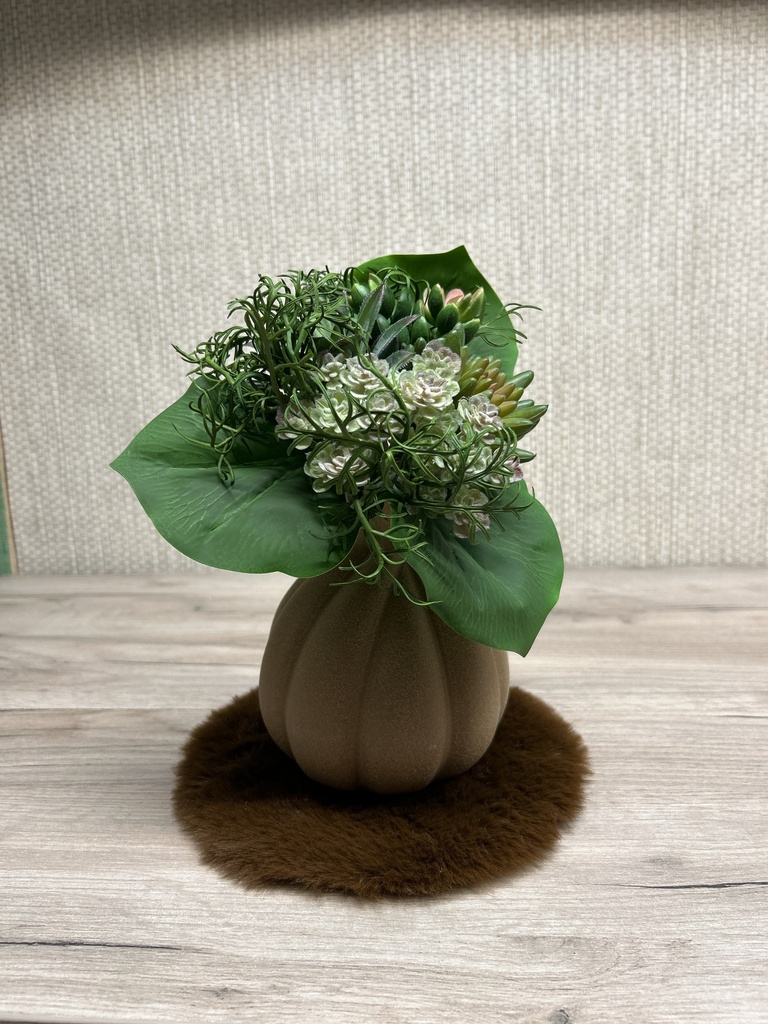 Sukkulenten-Mix-Bouquet