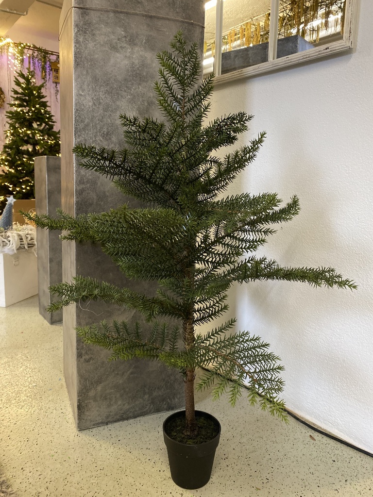 Weihnachtsbaum im Topf