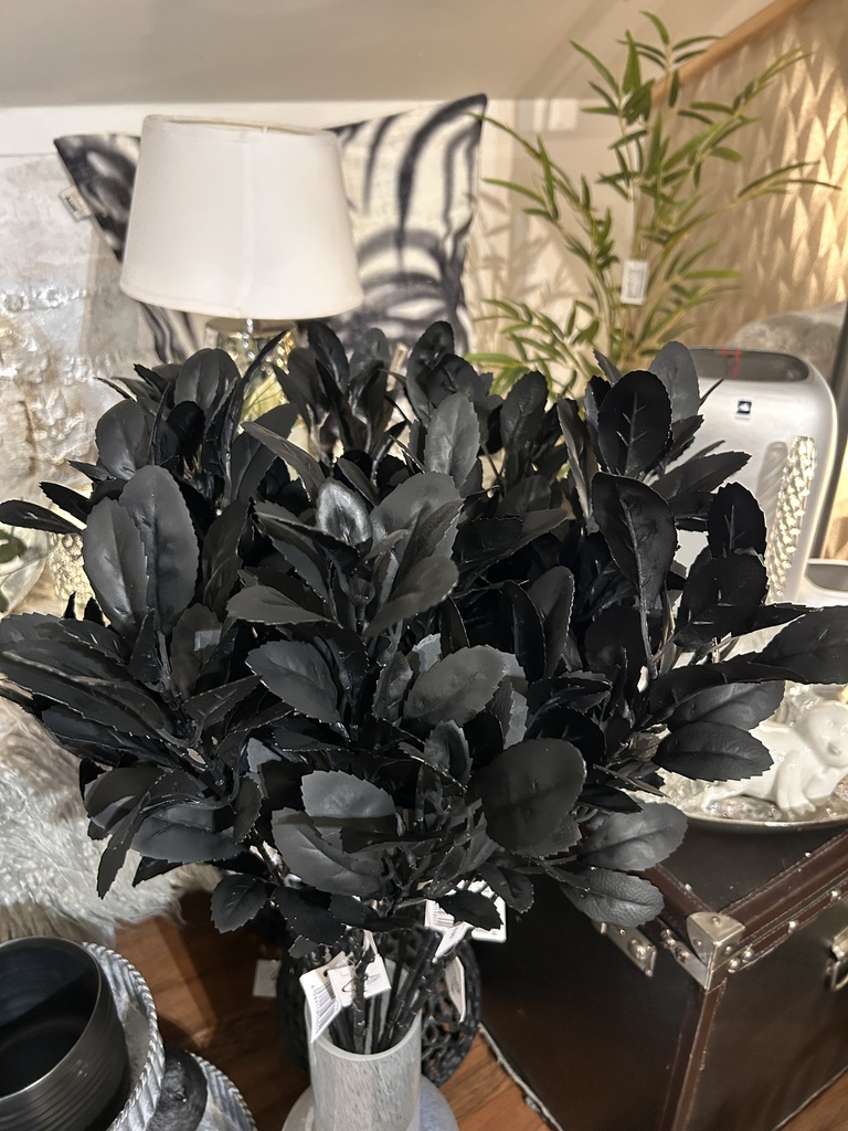 Matezweig (schwarz)