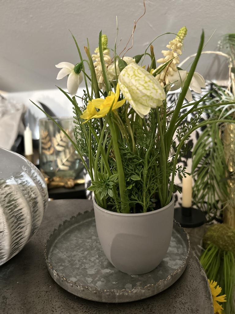 Frühlingsmix im Topf (grau)