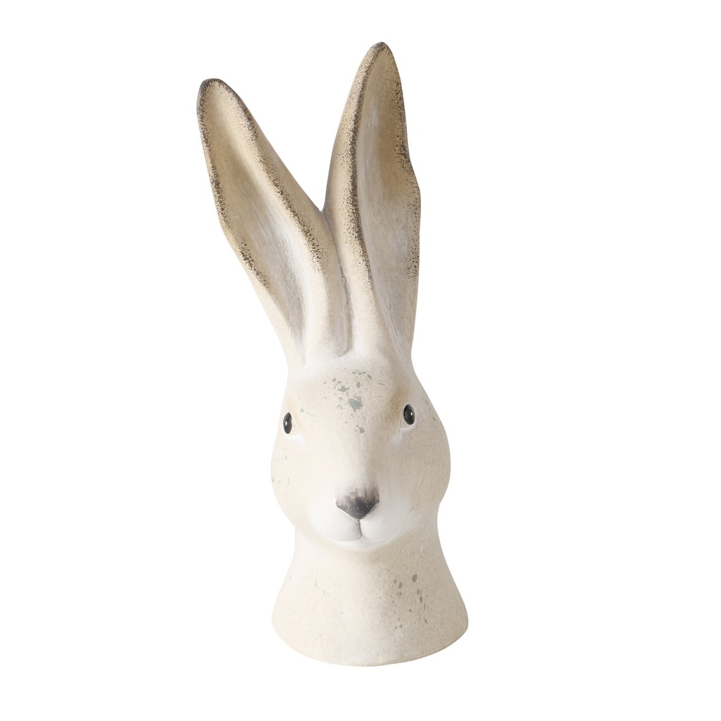 Hase Martino