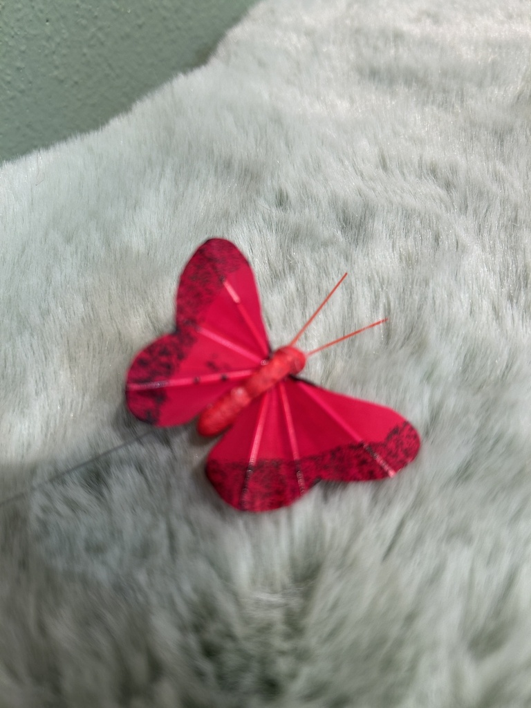 Schmetterling (klein) am Draht