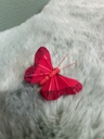 Schmetterling (klein) am Draht