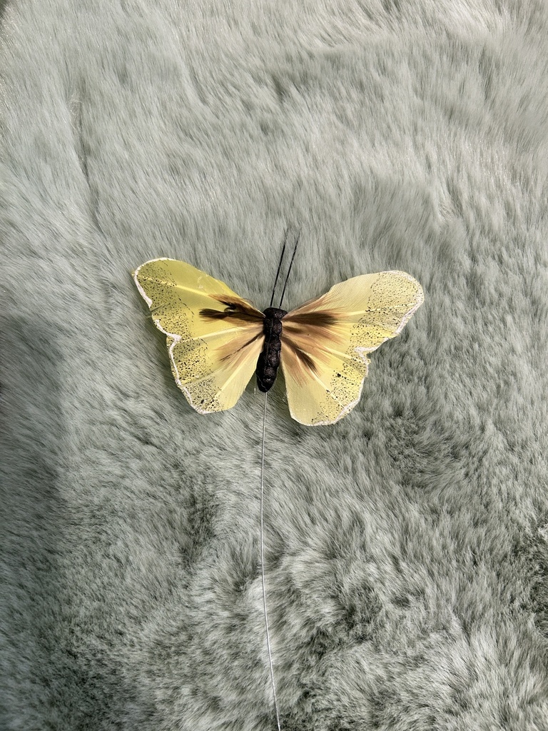 Schmetterling gelb