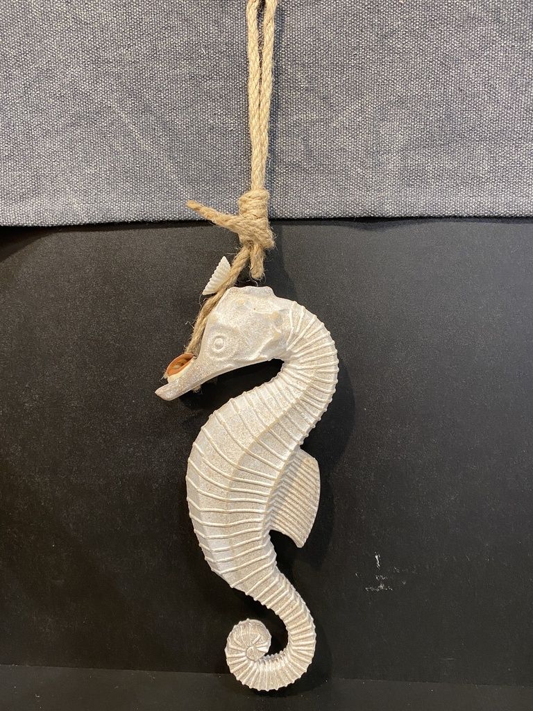 Seepferdchen weiß gebleicht