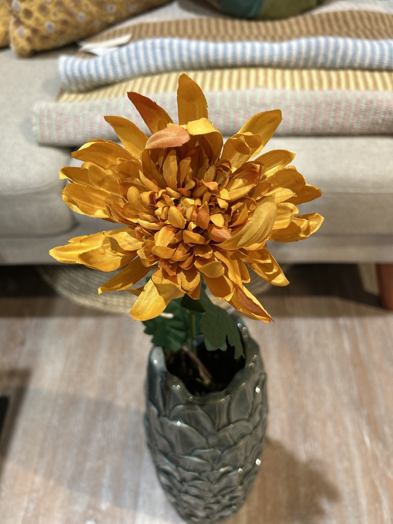 Chrysantheme am Stiel