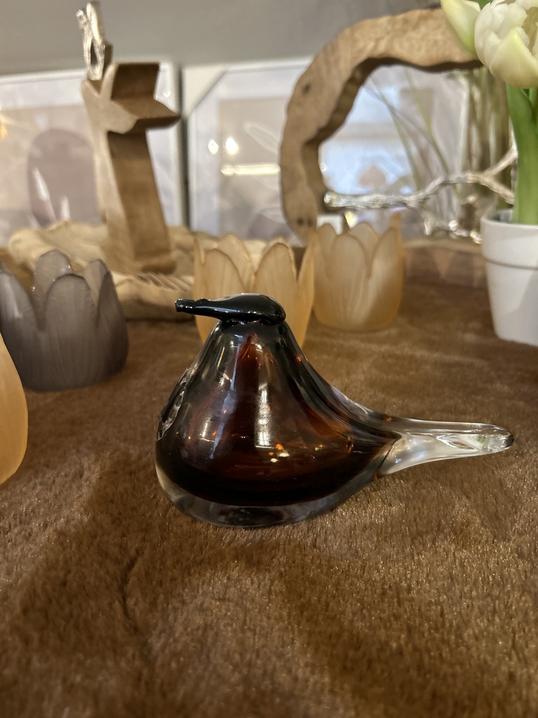 Glasvogel Bernstein