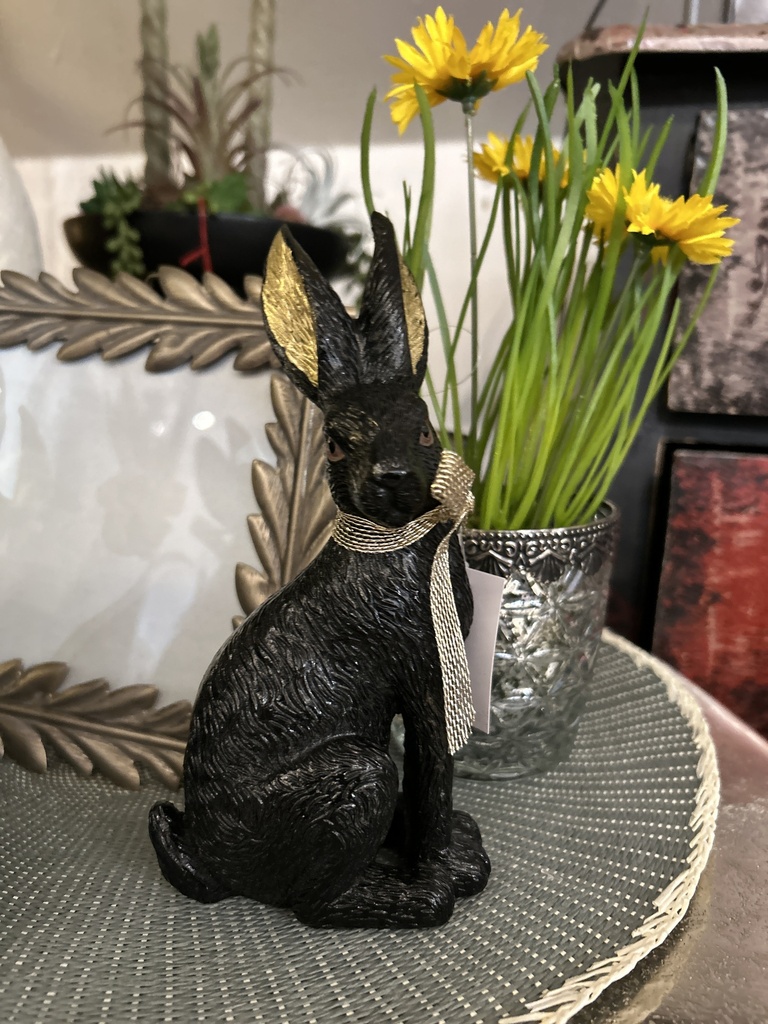 Hase "Sannie"