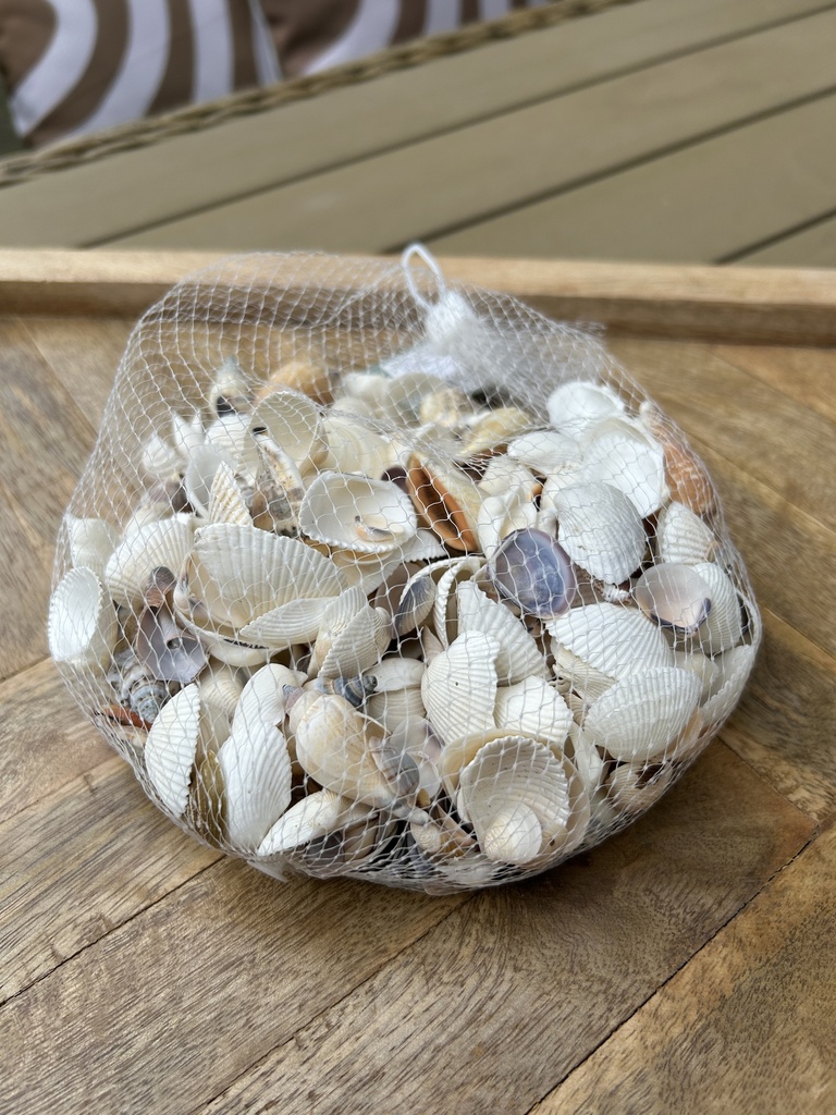 Muschelset, sortiert