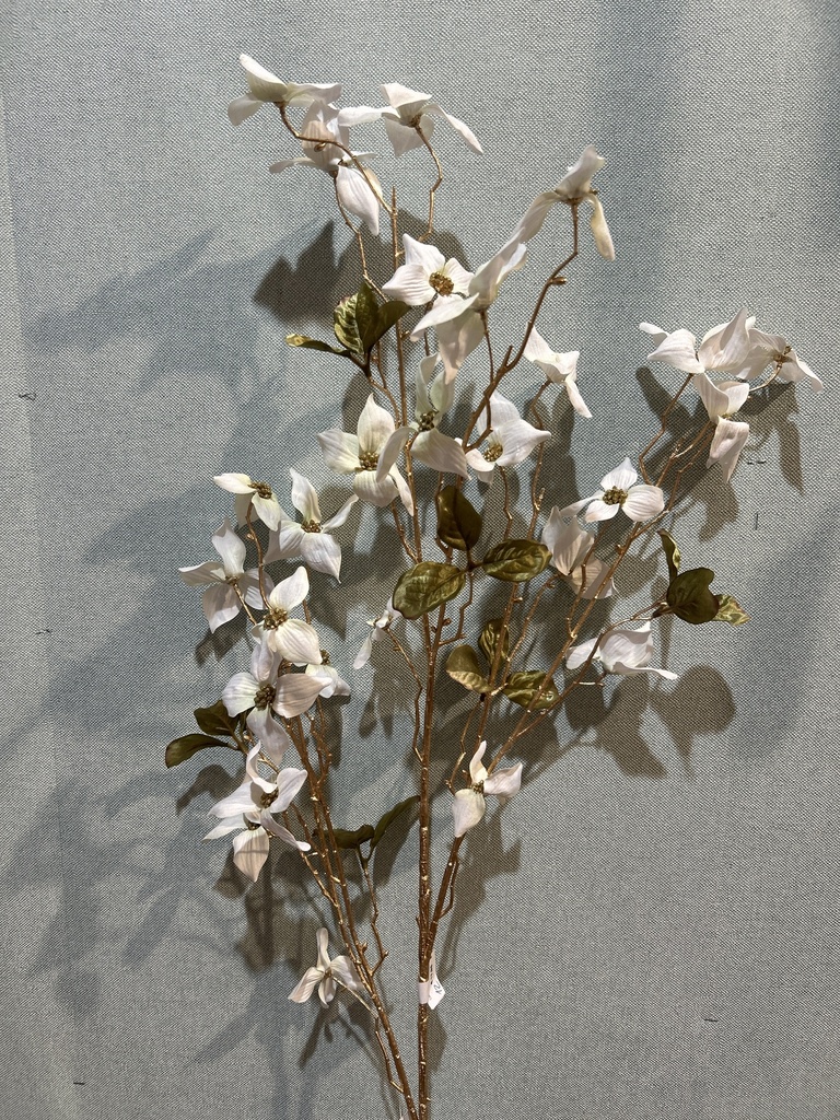 Cornus weiß, 118 cm