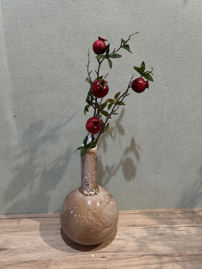 Granatapfelzweig