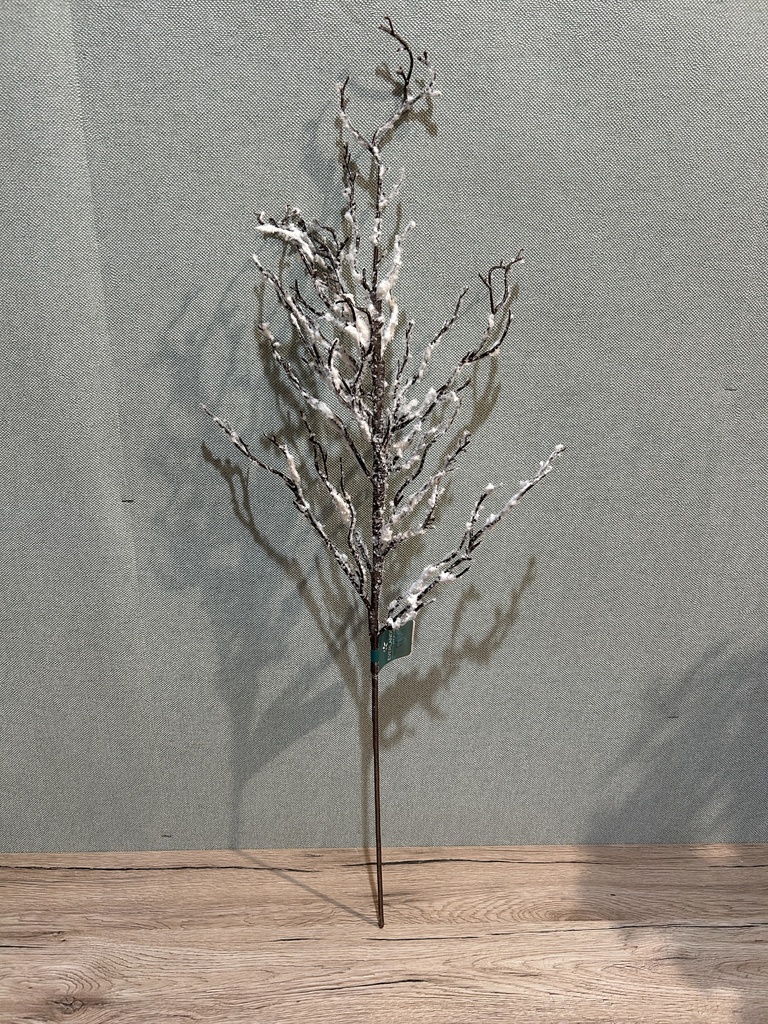 Winterzweig verschneit