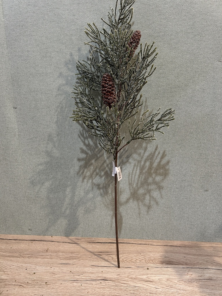 Kiefernzweig mit Zapfen geeist