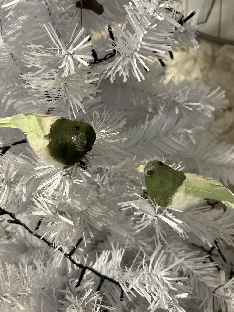 Vogel Set auf Clip 2er