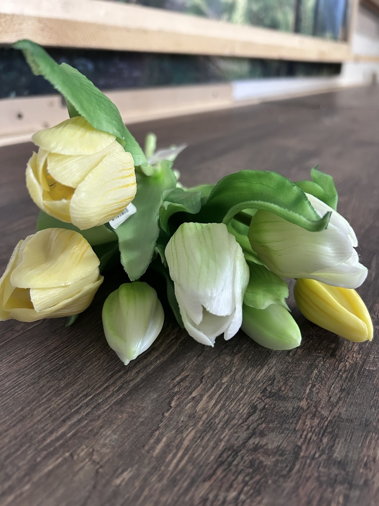 Tulpenbund weiß-gelb