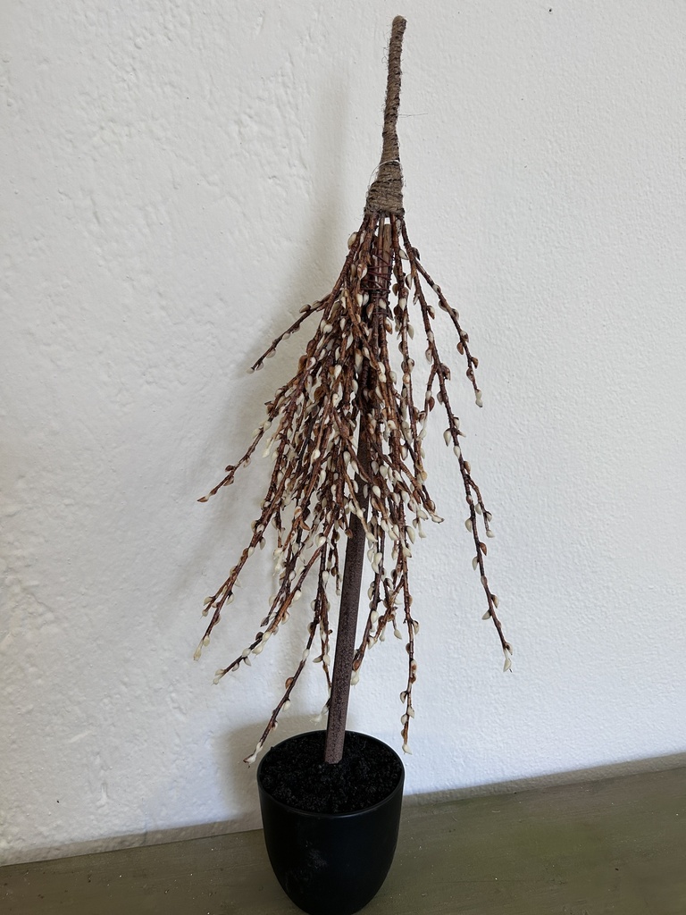 Weidekätzchenbäumchen