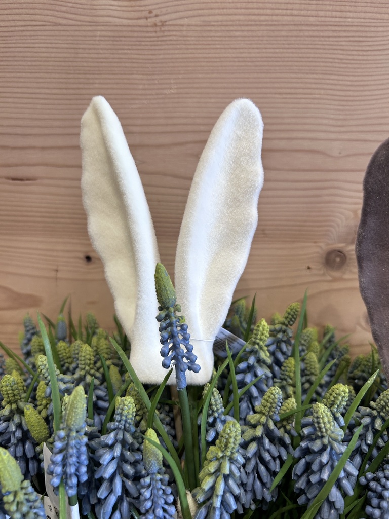 Hasenohrstecker klein