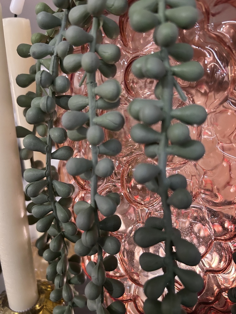 Sedumhänger Graugrün