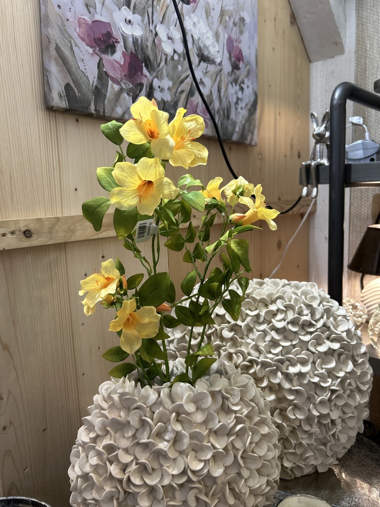 Campsis Trompetenblume gelb