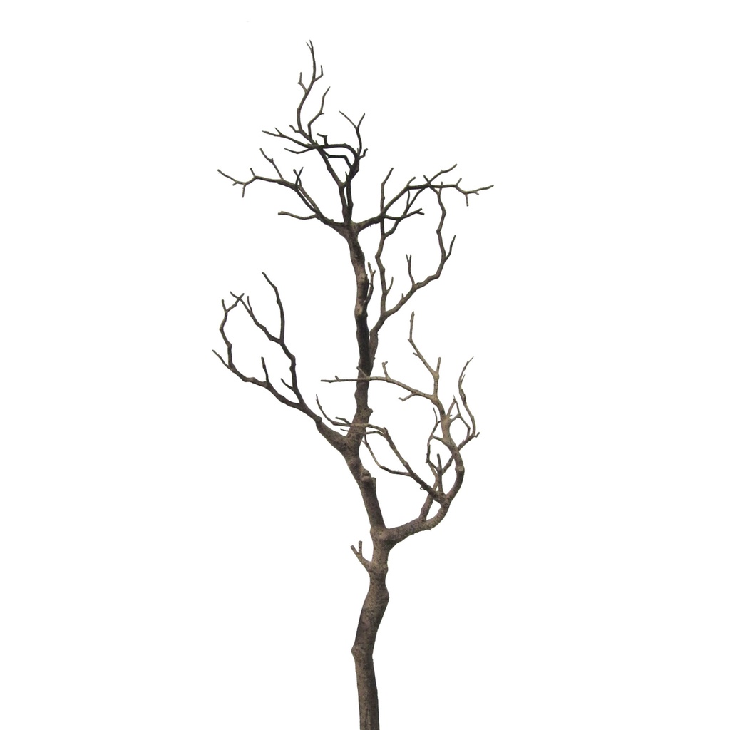 Dekoast natur