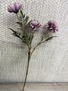 Mini-Dahlie
