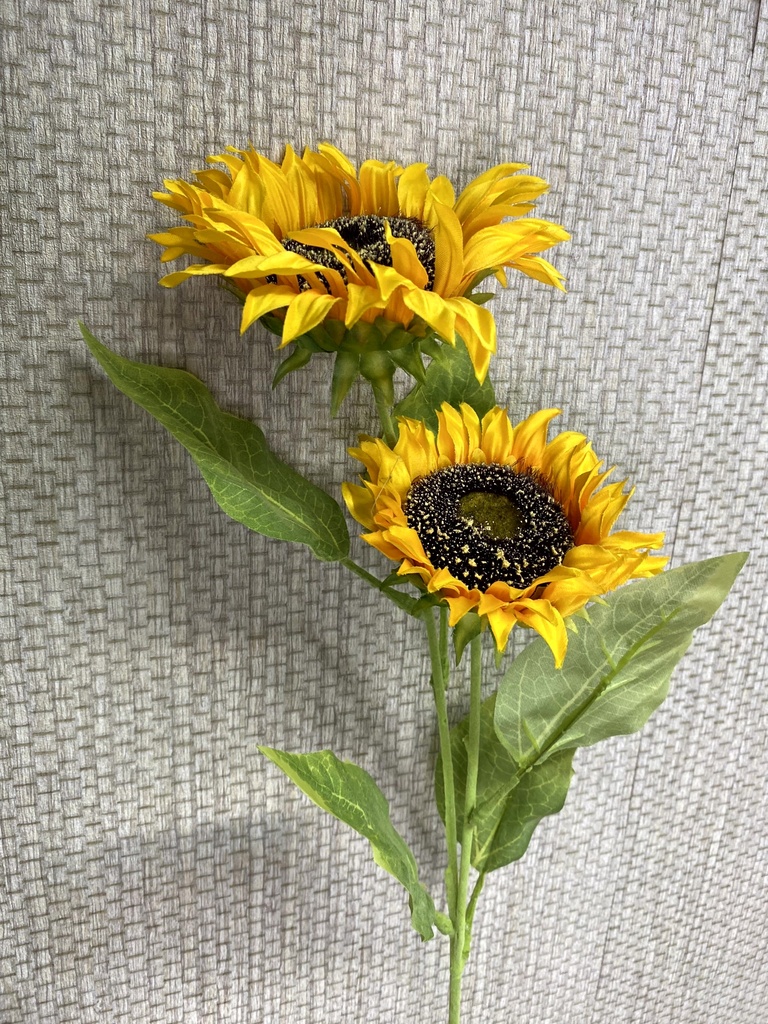 Sonnenblumen