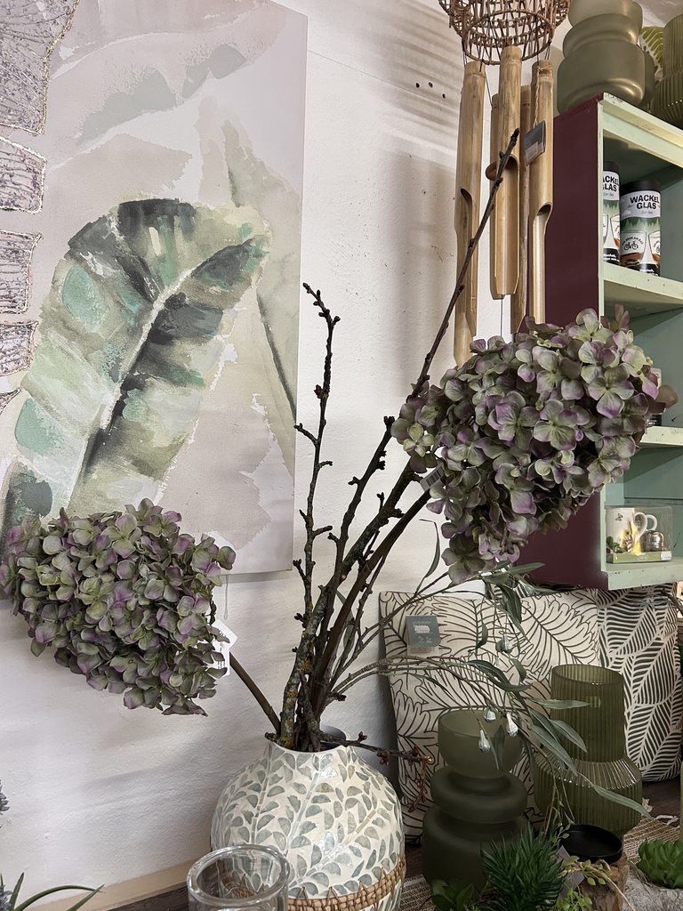 Rispenhortensie grün-rosa