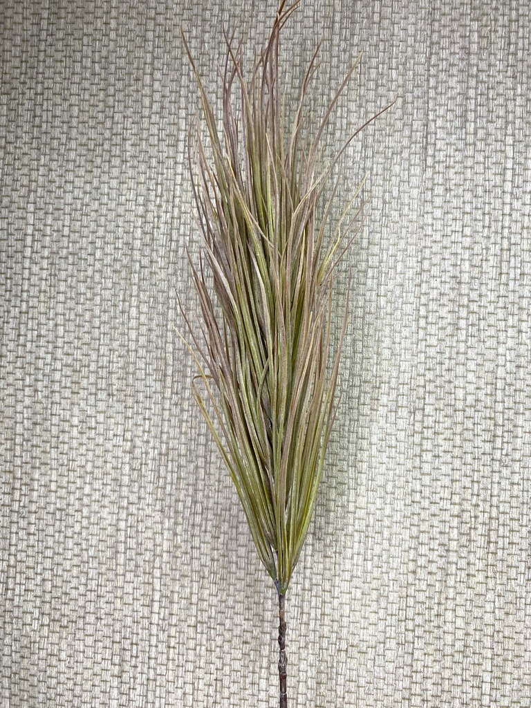 Gras mehrfarbig